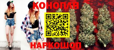 эйфоретик Бердск