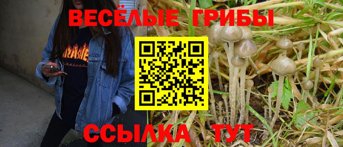 Архангельск  Галлюциногенные грибы Cubensis  что такое   Псилоцибиновые грибы Cubensis  Вход с VPN 