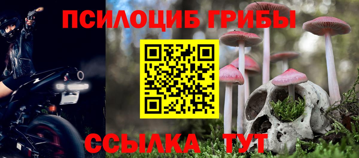 Галлюциногенные грибы ЛСД  Архангельск 