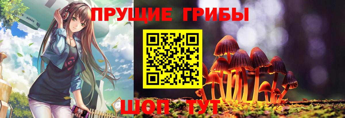 Псилоцибиновые грибы MAGIC MUSHROOMS Архангельск